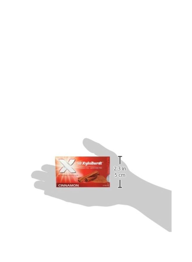 Xyloburst Xylitol Gum Cinnamon - 12 Gummies  - Image 3