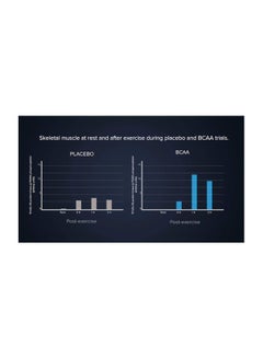 BCAA Fermented Amino Acid - v1575379235/N32481551A_7