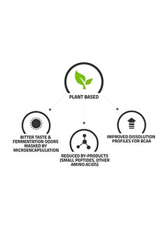 BCAA Fermented Amino Acid - v1575379258/N32481551A_5