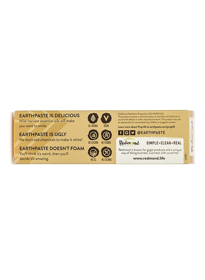 Redmond - Pack Of 3 All Natural Non-Fluoride Vegan Organic Toothpaste - Image 1