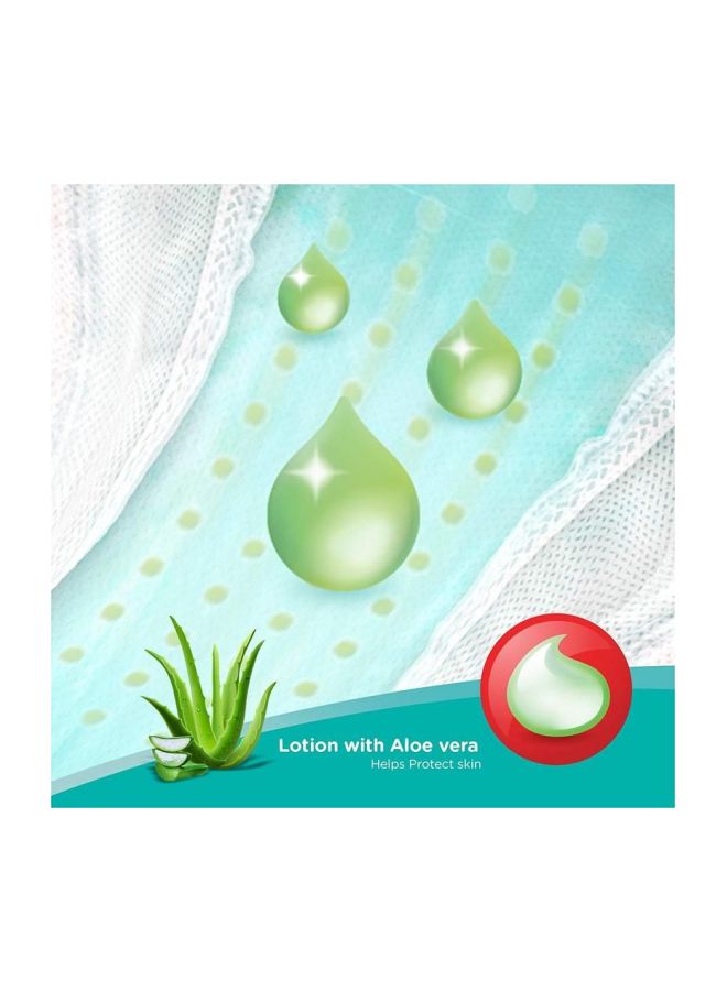 Pampers - Pack Of 3 Baby Dry Pants With Aloe Vera, Size M 7-12kg, 76 Count - Image 1