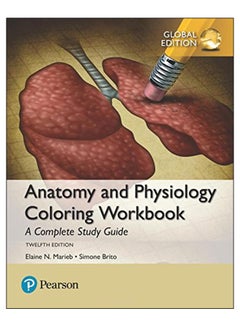 Anatomy And Physiology Coloring Workbook Paperback English by Elaine N. Marieb - 42968 - v1575895681/N32609831A_1