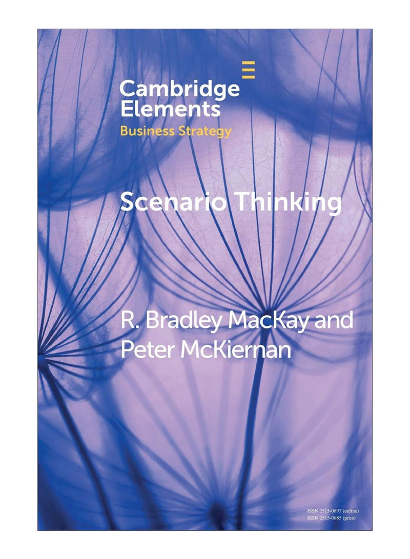 Scenario Thinking Paperback English by R Mackay - 4-Oct-18