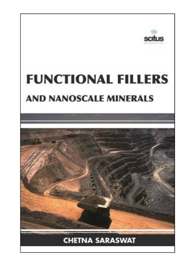 Functional Fillers And Nanoscale Minerals Hardcover English by Chetna Saraswat - 1-Jan-15 