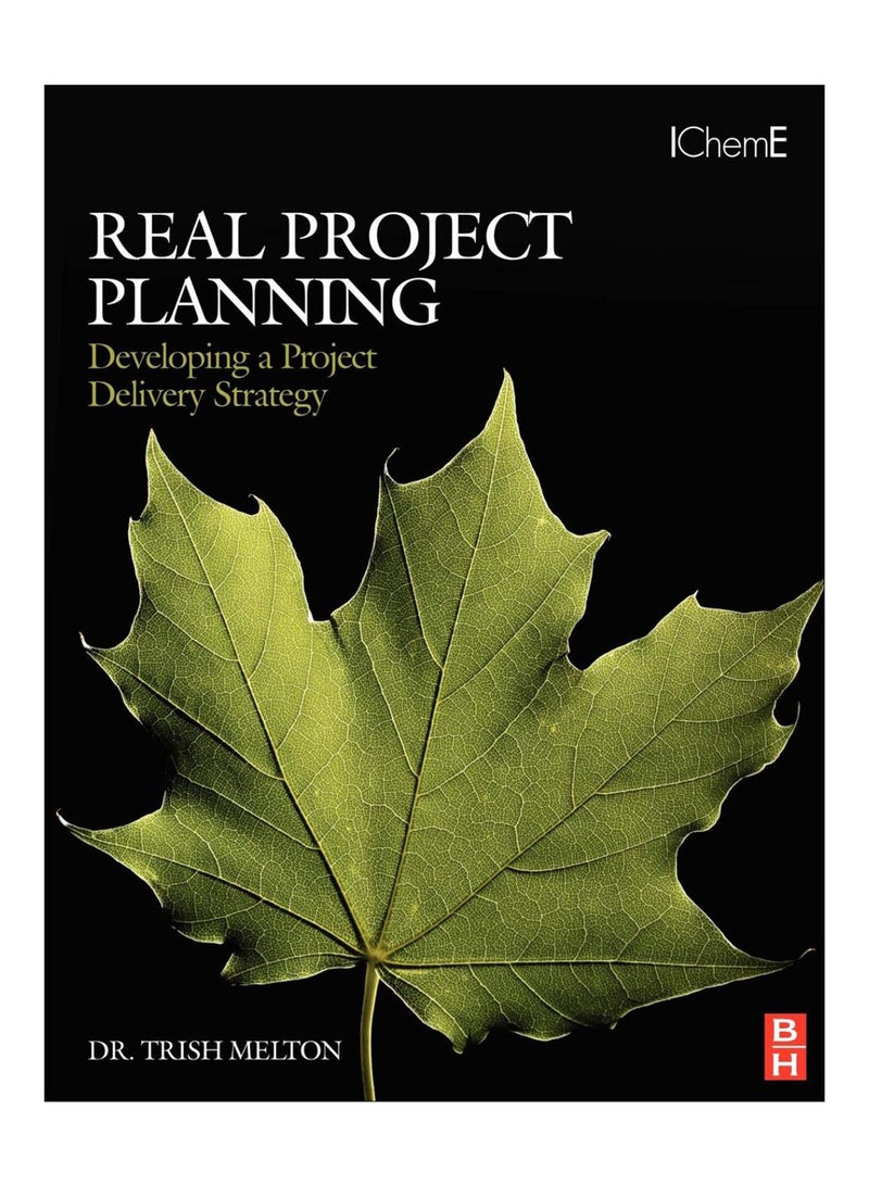 Real Project Planning paperback english - 7-Dec-07 