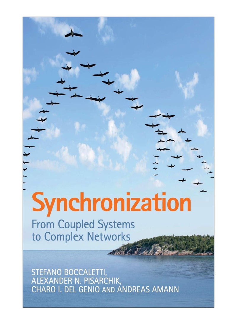 Synchronization Hardcover English by Andreas Amann Stefano Boccaletti , Alexander N. Pisarchik , Charo I. del Genio - 31-Mar-18 