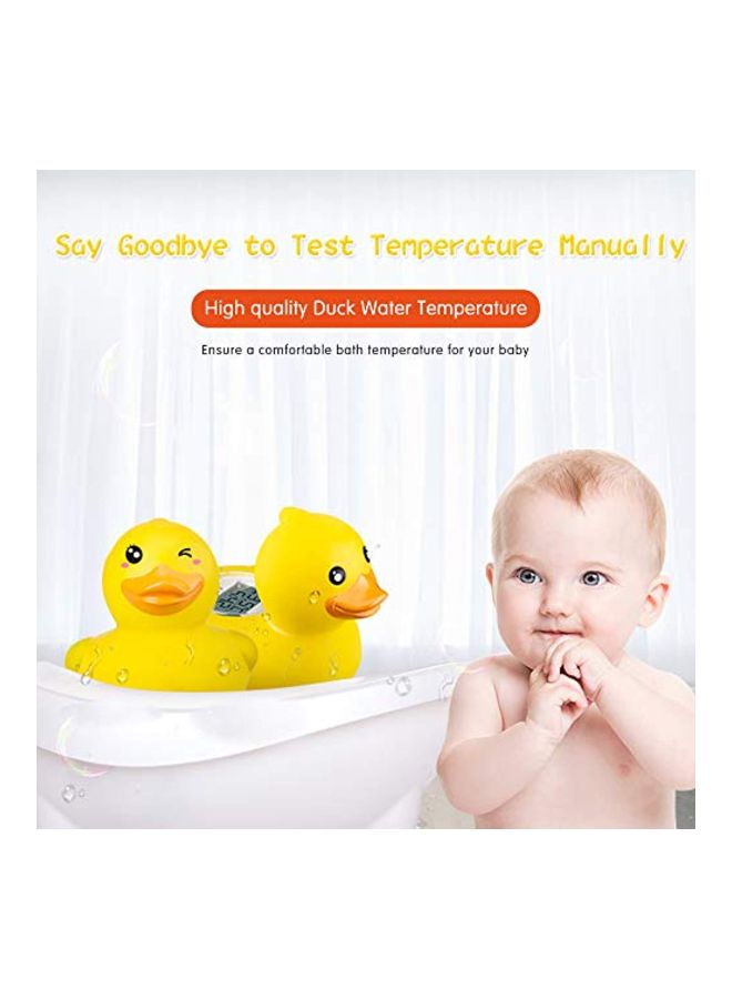 B&H - Water Temperature Measuring Digital Thermometer - Image 1