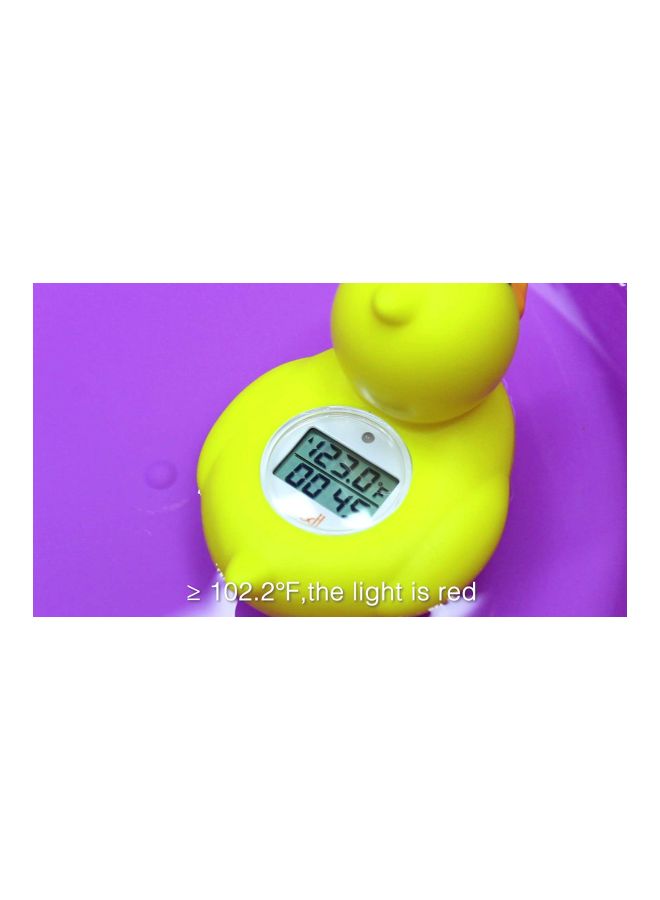 B&H - Water Temperature Measuring Digital Thermometer - Image 1
