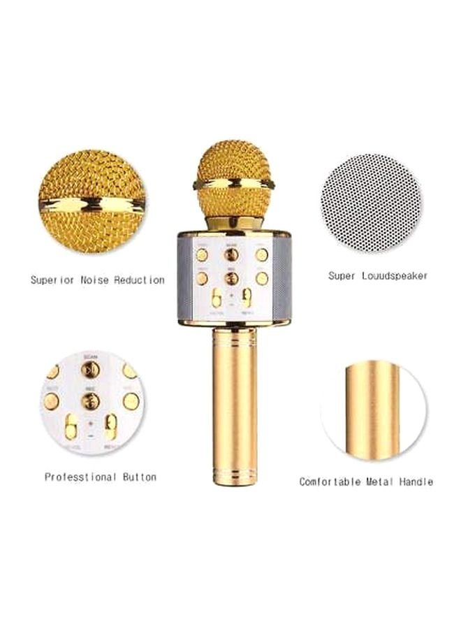 Wireless Mic With Speaker Karaoke System ZST-WS-858