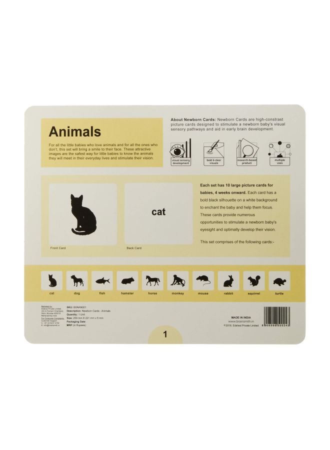 BRAINSMITH - High Contrast Picture Flash Card Set TQINB004 - Image 1