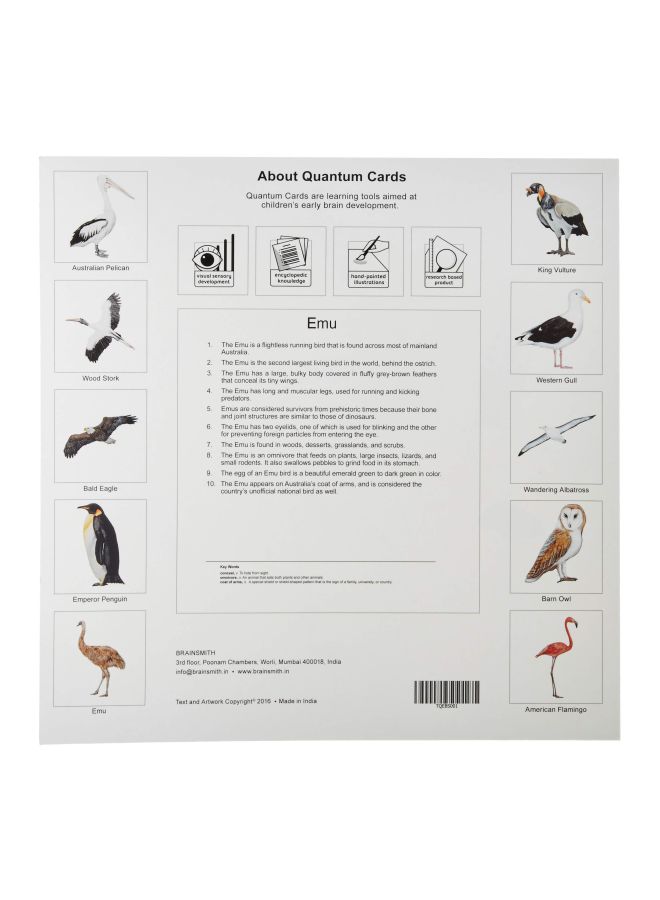 BRAINSMITH Pack Of 4 Flag Printed Quantum Flash Card  - Image 2