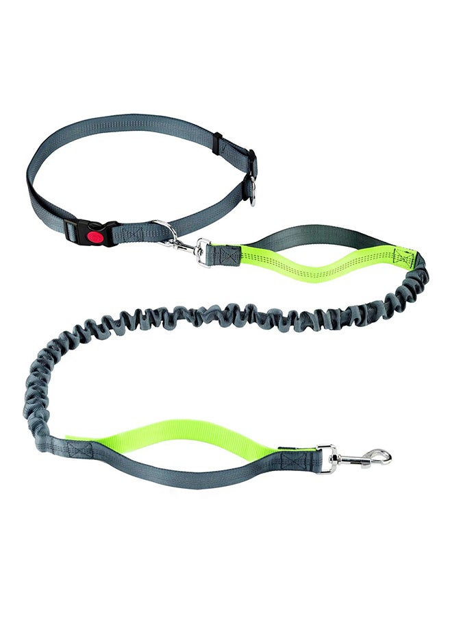 Adjustable Jogging Dog Leash Green/Black - Image 1
