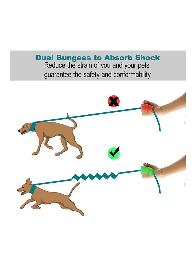 Adjustable Jogging Dog Leash Green/Black - Image 2