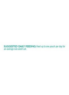 PURINA Fancy Feast Broths Chicken And Vegetables In A Decadent Silky Broth 40grams  - Image 4