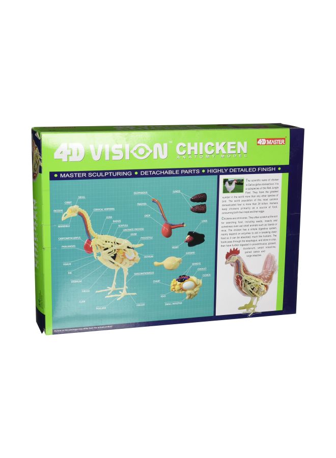 4D Vision Chicken Anatomy Model - v1576151983/N32179990A_3