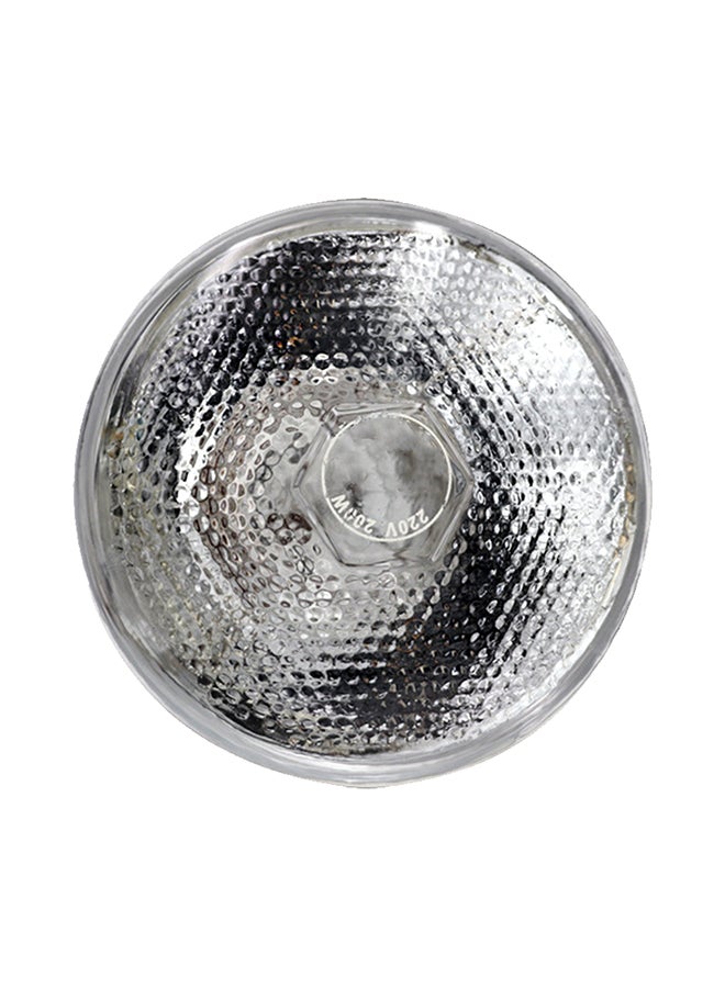 High Intensity Lamp Bulb Silver - Image 1