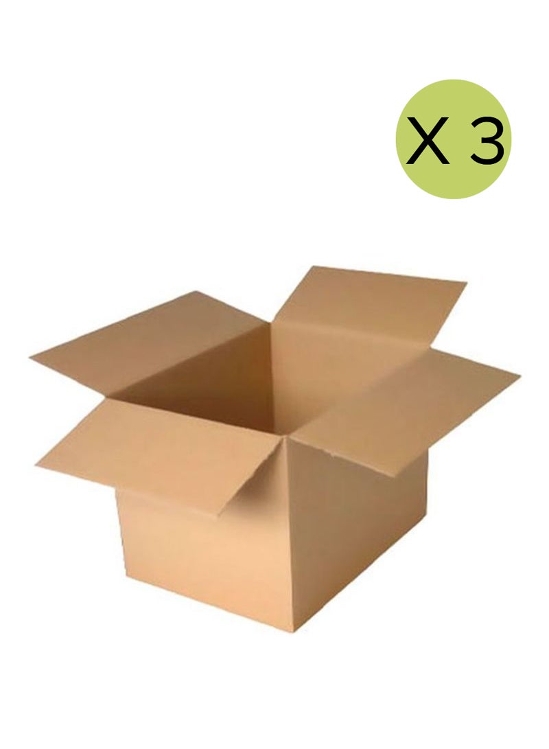 3-Piece Carton Storage And Shipping Box Set, 50 Kg Brown
