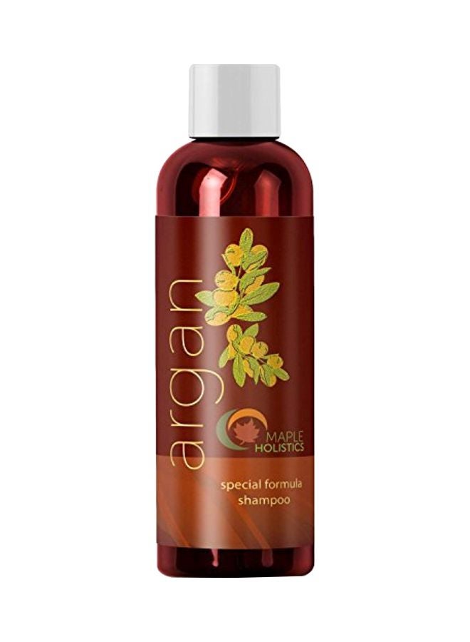 Maple Holistics Argan Special Formula Shampoo  - Image 1