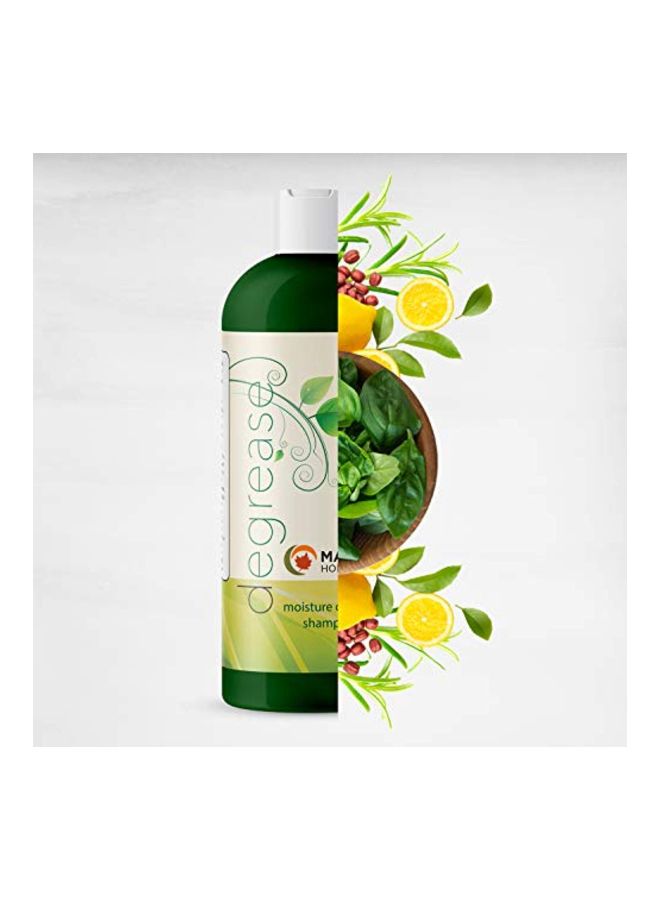 مايبل هوليستكس شامبو ديجريس للتحكم في الرطوبة - Image 3