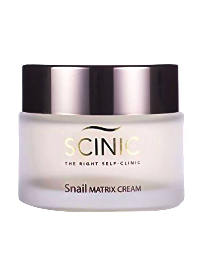 SCINIC - Snail Matrix Cream - Image 1