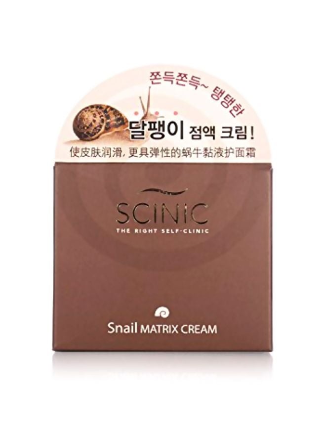 SCINIC - Snail Matrix Cream - Image 1