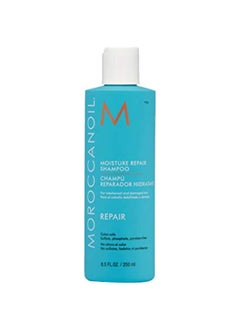 Moisture Repair Shampoo