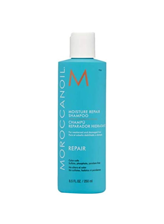 MOROCCANOIL - Moisture Repair Shampoo - Image 1