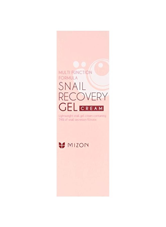 MIZON Snail Recovery Gel Cream 45ml - Image 2
