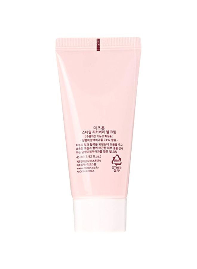 MIZON Snail Recovery Gel Cream 45ml - Image 4