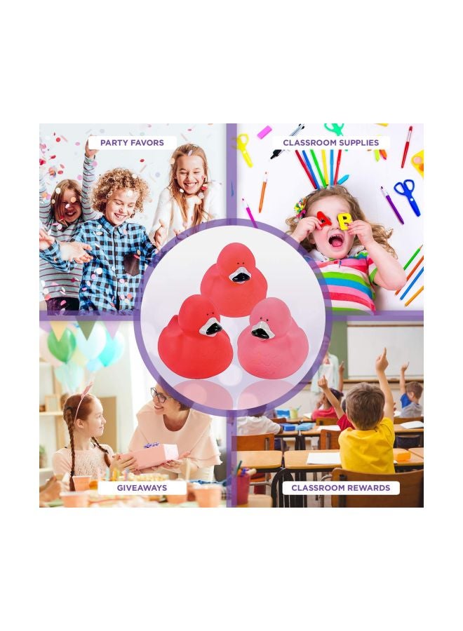 Fun Express 12-Piece Flamingo Rubber Duckies Set SG_B007D57P0I_US 2inch - Image 5