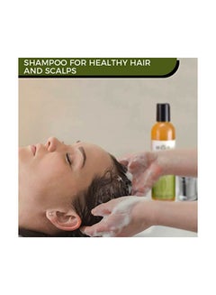 Scalp Rescue Shampoo - v1576618293/N32832016A_5