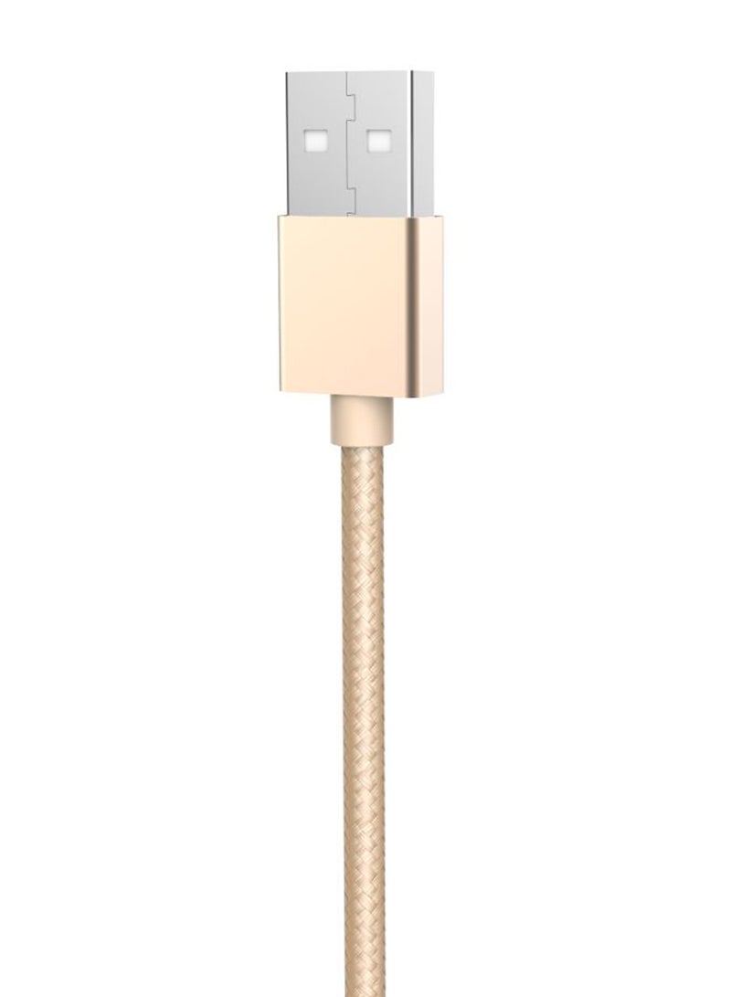 Lightning Data Sync And Charging Cable Gold/Silver