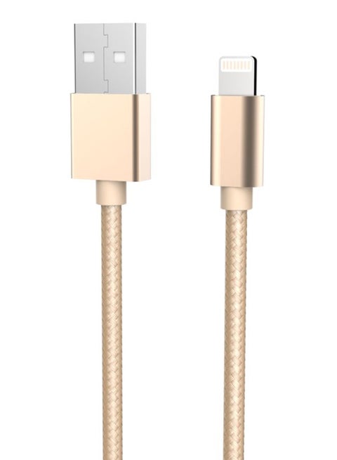 Lightning Data Sync And Charging Cable Gold/Silver