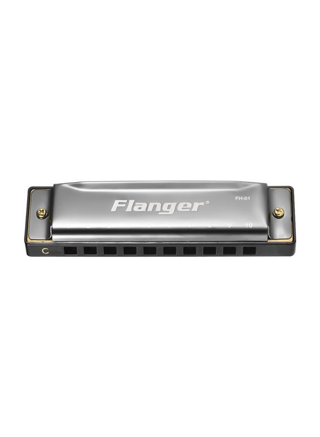 Flanger 10-Holes Diatonic Harmonica With Box - Image 4