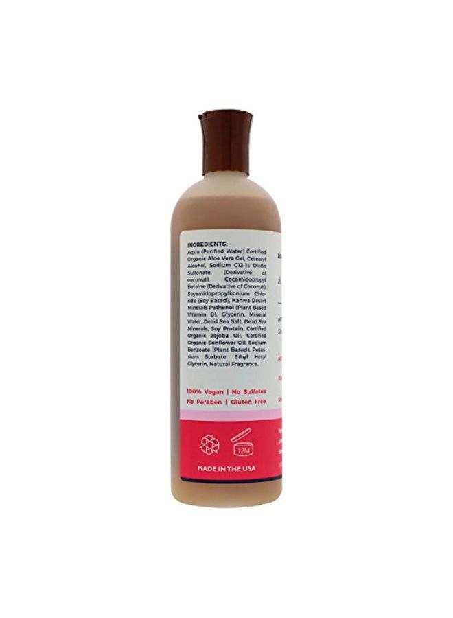 zionhealth - Adama Ancient Minerals Shampoo - Image 1