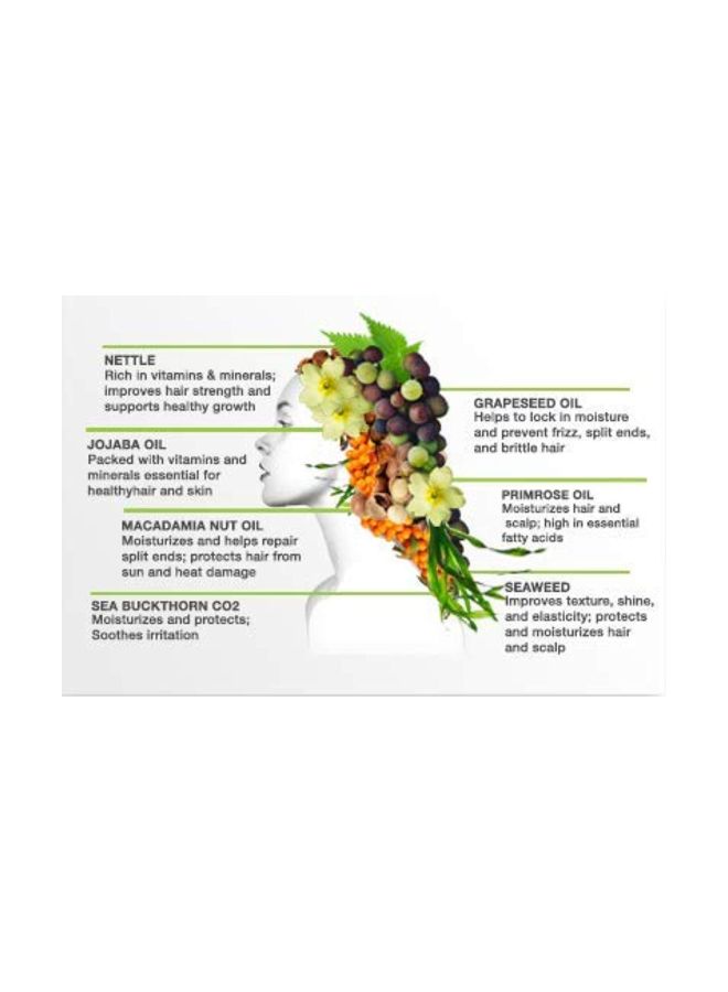 YAROK FOOD FOR YOUR HEAD. GOOD FOR THE EARTH. - Feed Your Volume Shampoo - Image 1