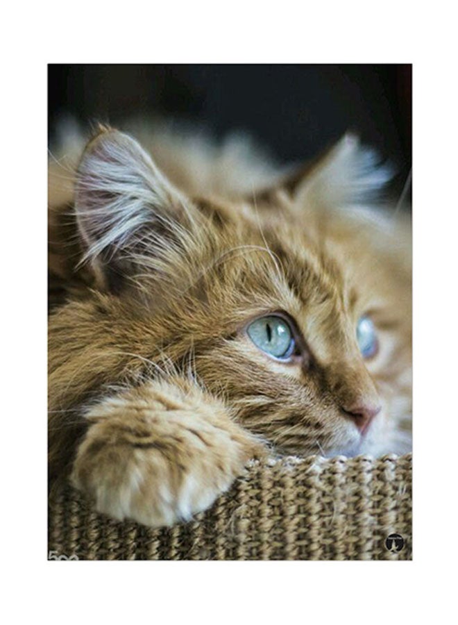 ملصق مصنوع من رقاقة معدنية بتصميم مُسطح على شكل قطة متعدد الألوان 15 x 20سم