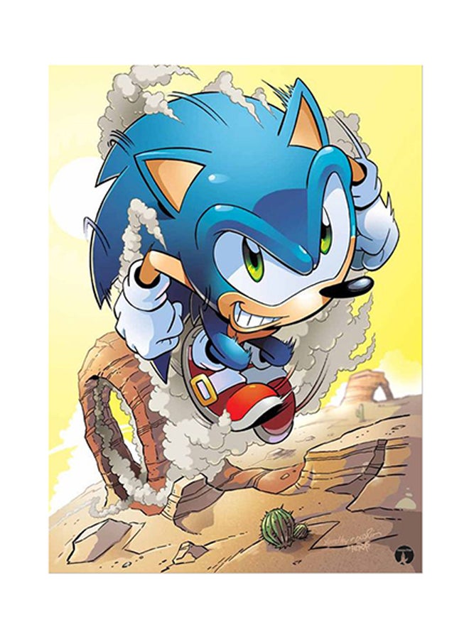 Video Game Sonic Metal Plate Poster Multicolour 15 x 20cm