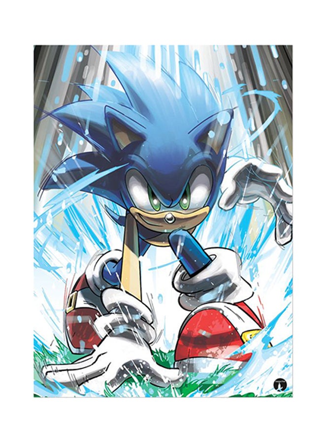 Video Game Sonic Metal Plate Poster Multicolour 15 x 20cm