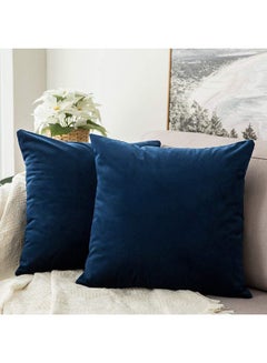 2-Piece Solid Pattern Decorative Pillow velvet Blue 25 x 25cm