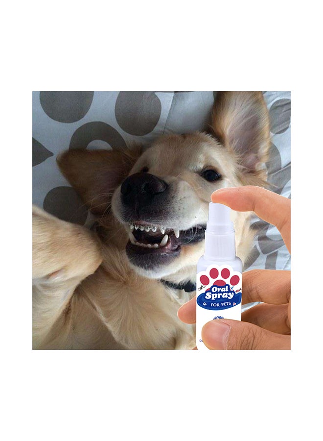 معطر للفم للحيوانات الأليفة متعدد الألوان 10.2X3X3سم - Image 5