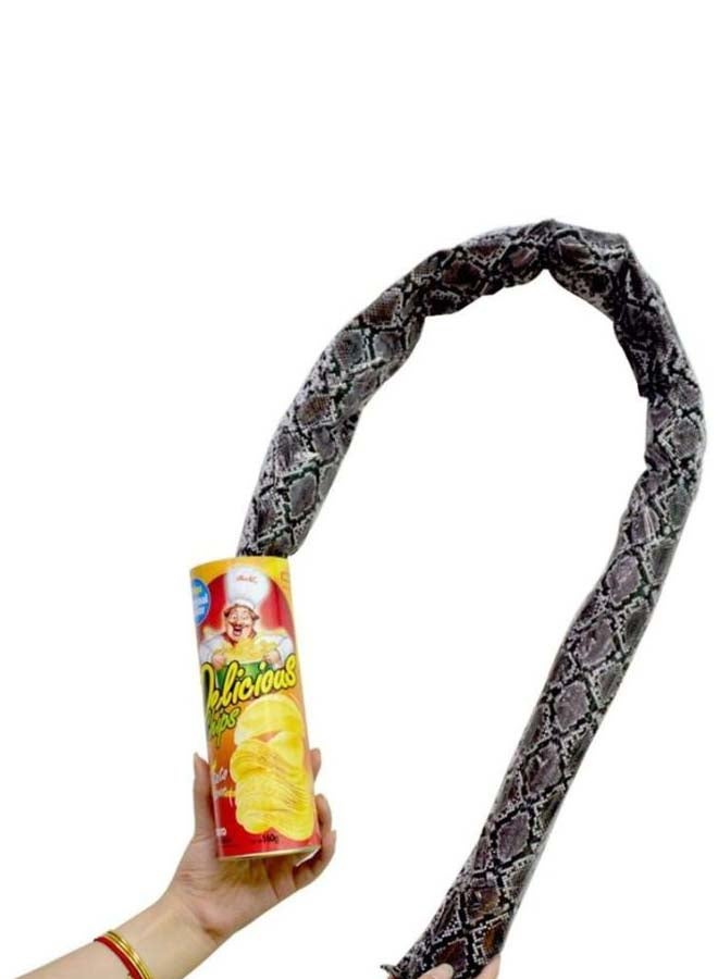 The Potato Chip Snake Can Jump Spring Snake Toy 22 x 7.5centimeter - Image 2