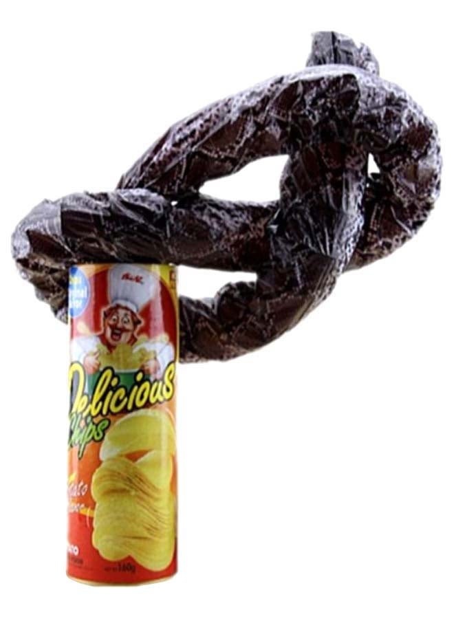 The Potato Chip Snake Can Jump Spring Snake Toy 22 x 7.5centimeter - Image 1