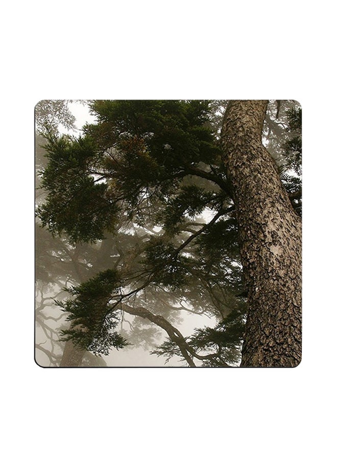 Taiwan Nature Poster Printed Coaster Multicolour 9x9cm