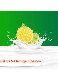 Dettol Fresh Anti-Bacterial Bodywash With Loofah 250ml  - Image 3