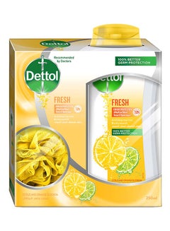 Dettol Fresh Anti-Bacterial Bodywash With Loofah 250ml  - Image 2