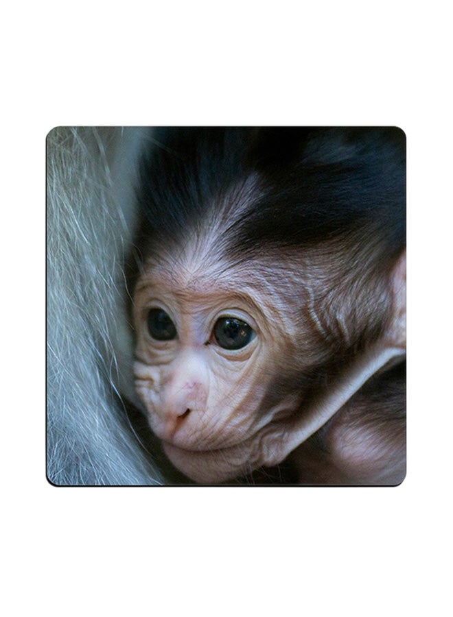 Monkey Printed Coaster Black/Beige 9x9cm 