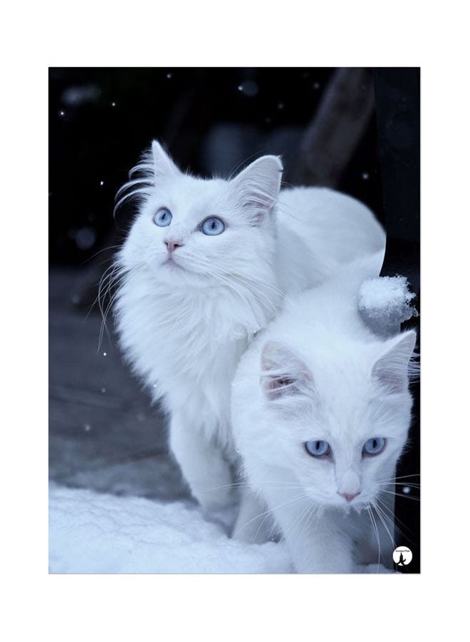 بي بي لوحة ماوس بطبعة قطط أسود/ أبيض