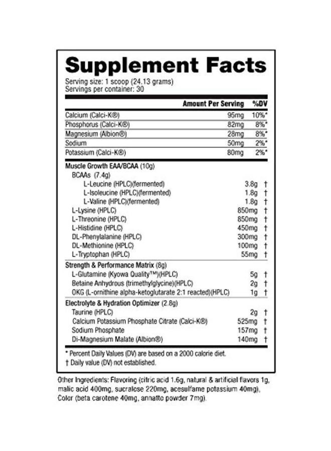 NutraBio Intra Blast - Intra Workout Amino Fuel Dietary Supplement  - Image 2