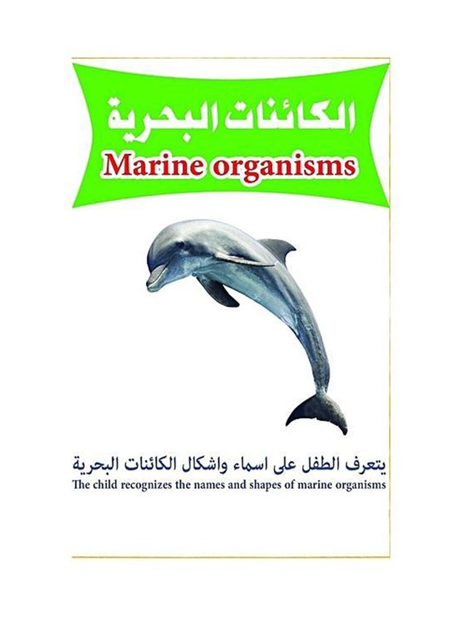 بطاقات الكائنات البحرية التعليمية - Image 1